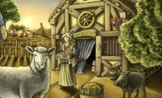 Live stream : Le mode solo d'Agricola, le jeu fermier