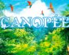 Canopée : L'appel de la forêt